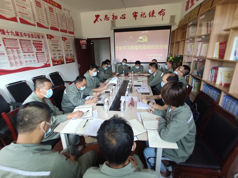 實(shí)、準(zhǔn)、狠三字訣 助力黨史學(xué)習(xí)教育專題組織生活會(huì)走深走實(shí)