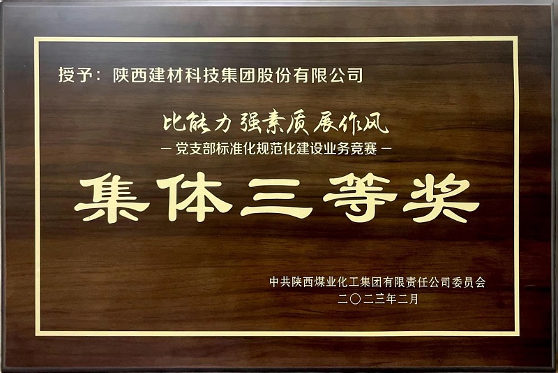 公司榮獲“黨支部標(biāo)準(zhǔn)化規(guī)范化建設(shè)業(yè)務(wù)競(jìng)賽”集體三等獎(jiǎng)
