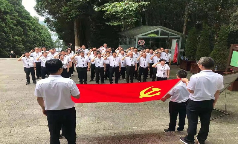 這一年，黨建引領(lǐng)增活力