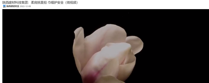 奮進陜煤、陜煤集團抖音、陜煤集團微信公眾號 | 陜西建材科技集團：柔肩挑重擔(dān) 巾幗護安全（微視頻）