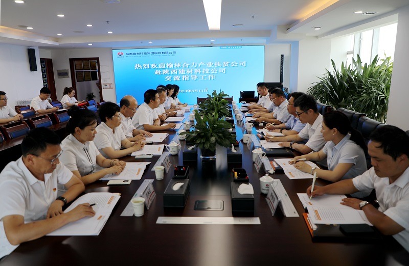 榆林合力公司黨委副書記、總經(jīng)理劉文一行到陜西建材科技公司開(kāi)展“送清涼”活動(dòng)