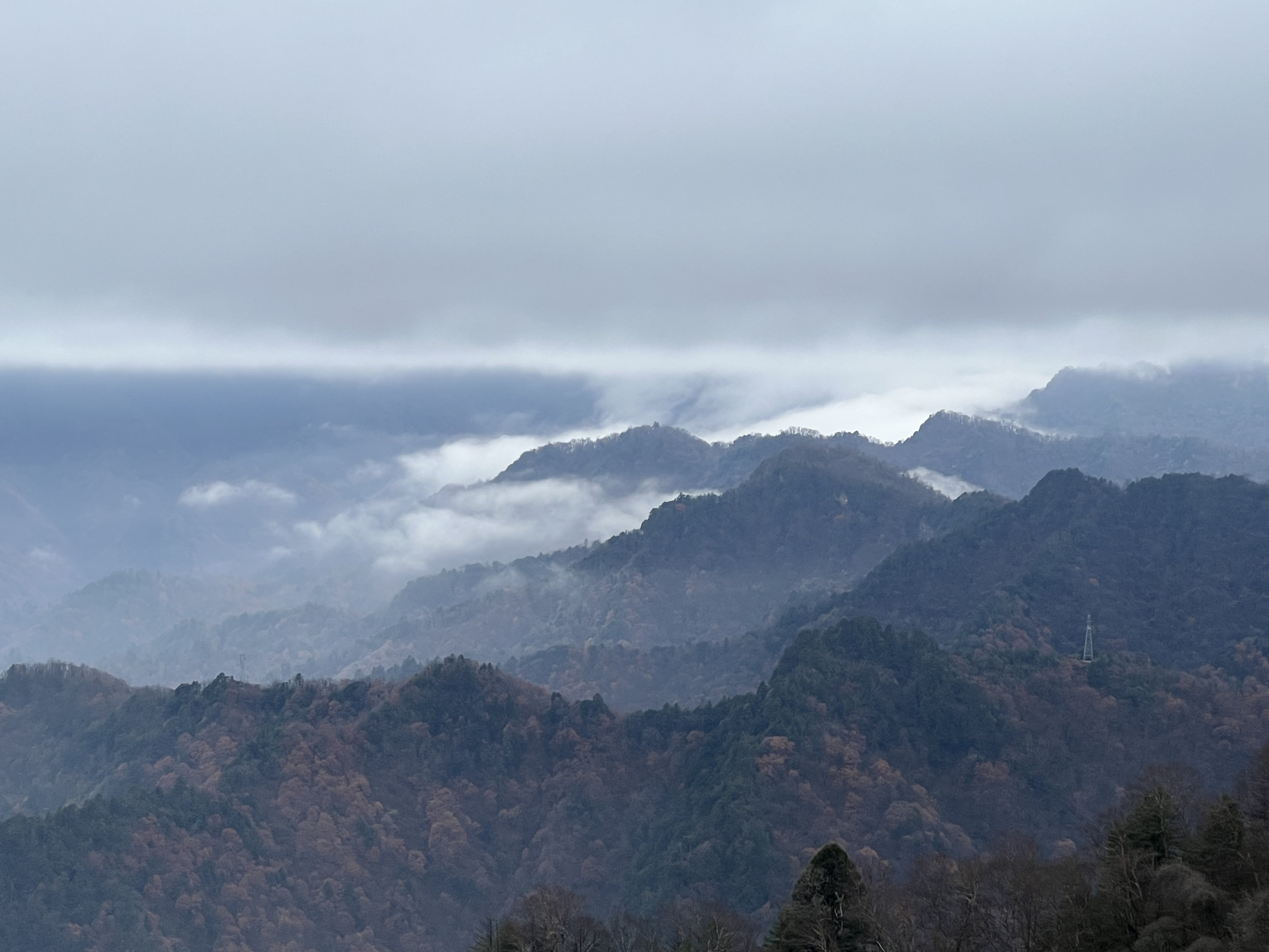 華山營(yíng)銷公司：冬已立，寒信至